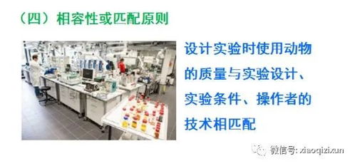 醫(yī)學(xué)SCI臨床科研思路培養(yǎng)及國(guó)家自然科學(xué)基金撰寫(xiě) 聚焦自然科學(xué)研究和試驗(yàn)發(fā)展